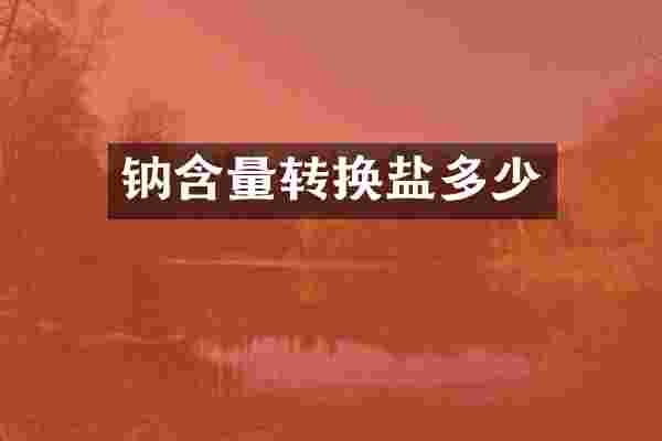 钠含量转换盐多少