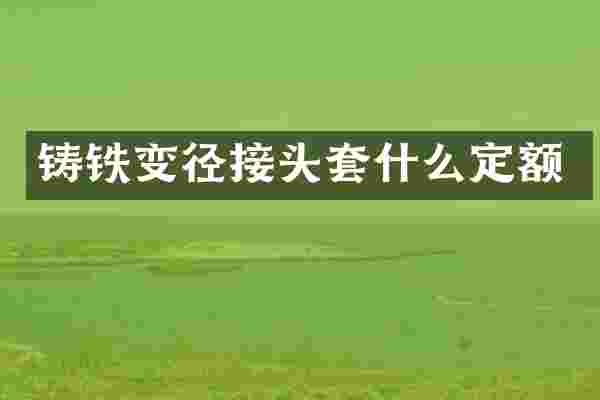 铸铁变径接头套什么定额