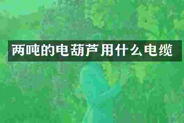 两吨的电葫芦用什么电缆