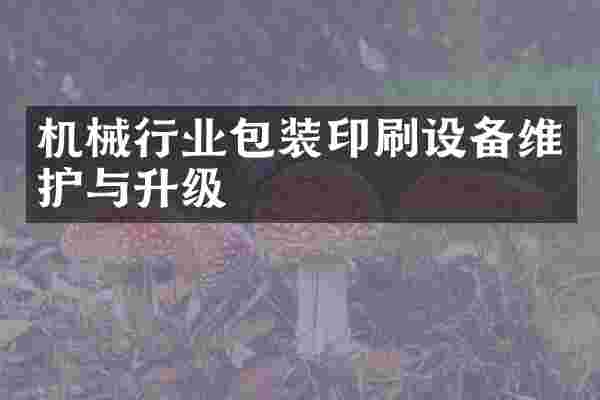 机械行业包装印刷设备维护与升级