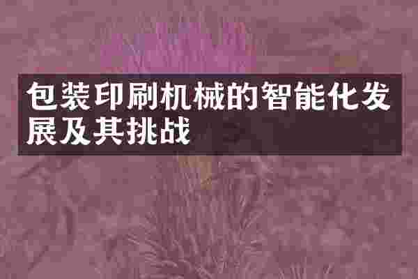 包装印刷机械的智能化发展及其挑战